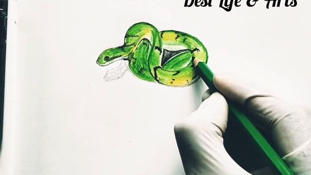 Green snake Realistic colour pencil sketch..easy colour snake drawing смотреть онлайн