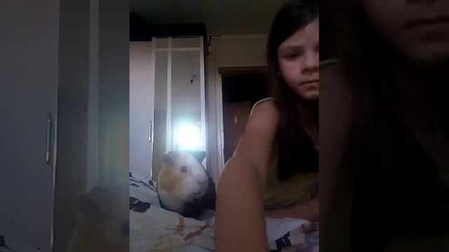Видео блог для канала карусель с Дарвином смотреть онлайн