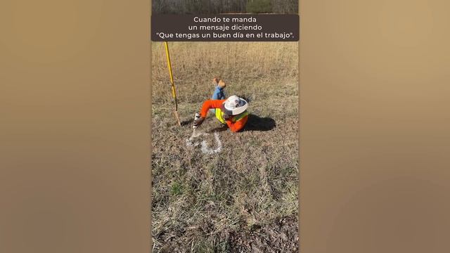 Idiotas Totales En El Trabajo Captados Por Las Cámaras