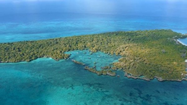 Relaxing Music for Stress Relief, Meditation and Yoga