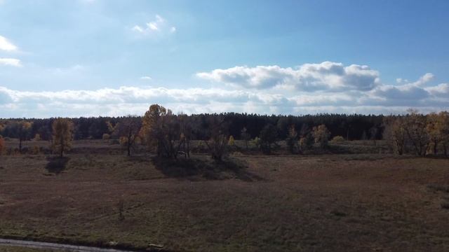 Пробный полет дрона DJI mini 2 смотреть онлайн