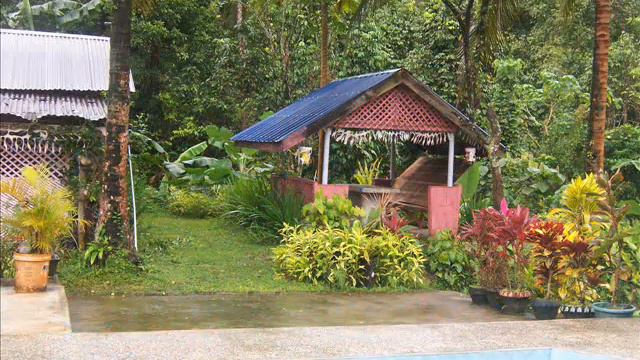 Anthurium Resort смотреть онлайн