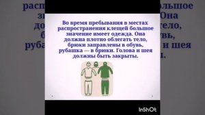 ОБЖ. Чем опасны укусы клещей.