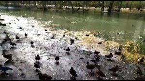 Календарь рыбака на Декабрь Прогноз клева рыбы на эту неделю Лунный календарь рыбака 2022