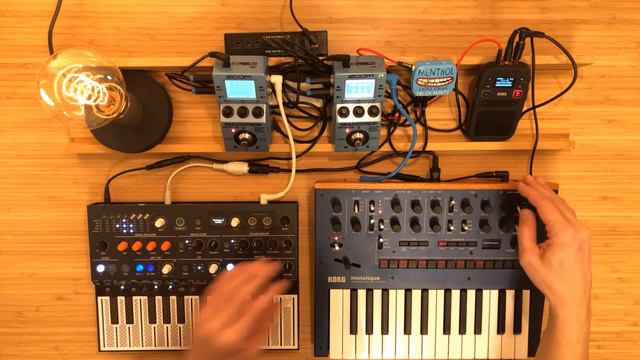 Arturia MicroFreak, Korg Monologue, Zoom MS-70CDR, Abacus