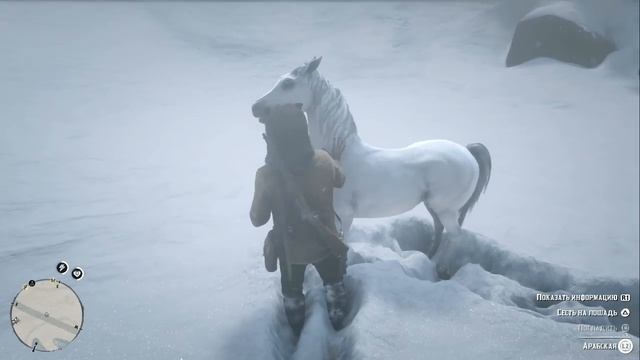 ПРИРУЧАЕМ ЛУЧШУЮ ЛОШАДЬ - RED DEAD REDEMPTION Прохождение #14 смотреть онлайн