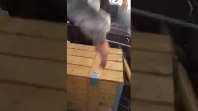 Рыбалка на Ахтубе июнь 2019 смотреть онлайн