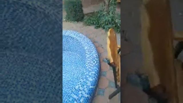 День Рождение Дача смотреть онлайн