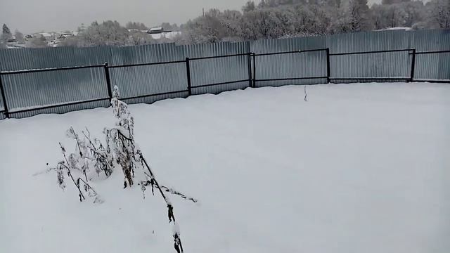 Обзор ОГОРОДА за 21 ноября 2020г. Пришла КРАСАВИЦА ЗИМА!!! смотреть онлайн
