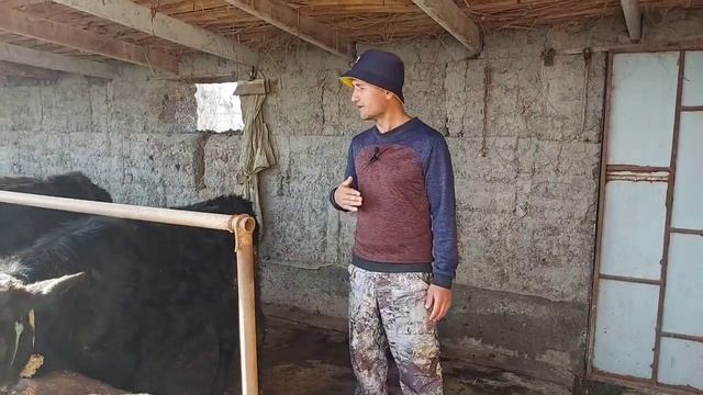 Бука парвари дар Точикистон соли 2023 Букачахои Дехкон бача Гусалахо, 14 марта 2023 г. смотреть онлайн
