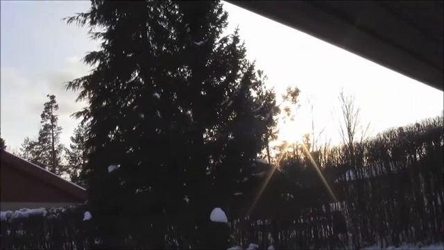 Kamera Test Canon Legria HF R26 смотреть онлайн