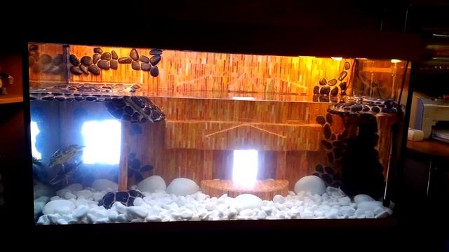 Мой аквариум с краснаухими черепахами