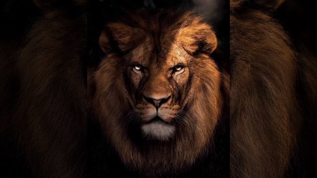 REMIX "LION" МОЛИТВА смотреть онлайн