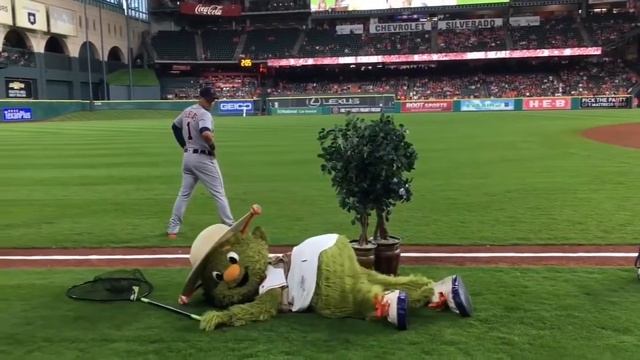 Прикол. Orbit. Houston Astros. Плюшевый талисман🤗 смотреть онлайн