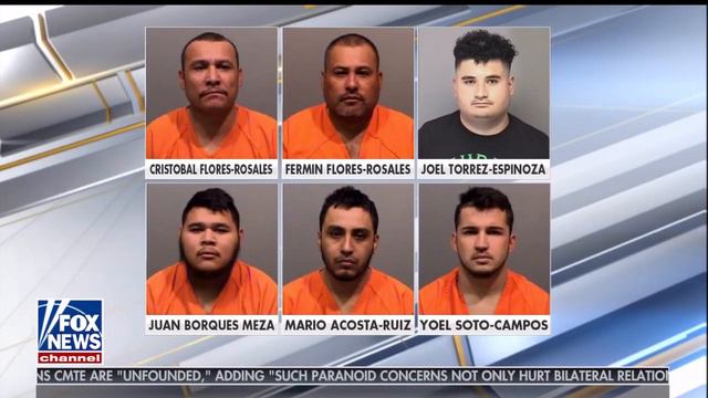 Immigration Lawyer Michael Wildes on President Trump and Immigration смотреть онлайн