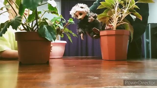 Читает Честер смотреть онлайн