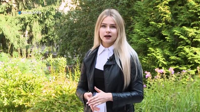 Фестиваль гимнастики и интеллектуальный клуб. Территория Тольятти смотреть онлайн