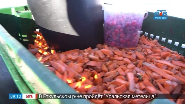 Как кормят животных в сюжете «Обед в зоопарке» смотреть онлайн