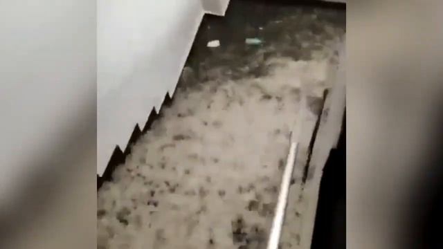 Chaos and panic due to a heavy flood in Assam, India смотреть онлайн