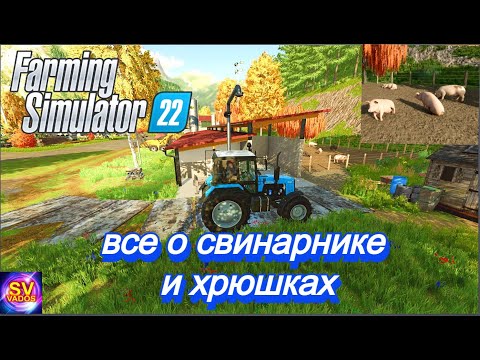 ✅Farming Simulator 2022?Все о свинарнике и хрюшках.mp4 смотреть онлайн