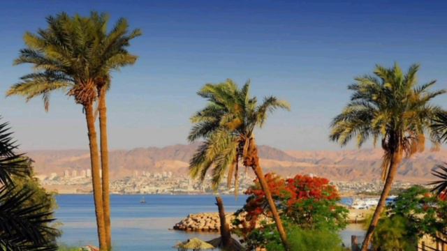 Тур в Иорданию смотреть онлайн