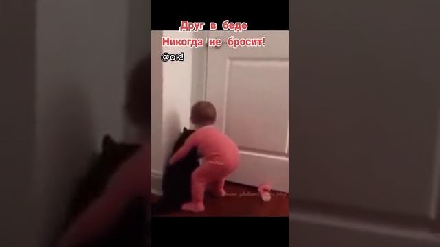 Друг в беде не бросит!) смотреть онлайн