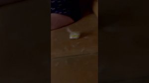 Дом 2! Черно притащили новый диван... Дивану капец!)