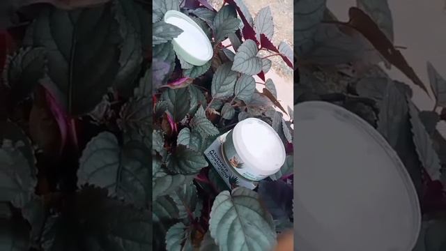 Hey all today introduce all about patanjali alovera moisturizing cream 🌝💖 смотреть онлайн