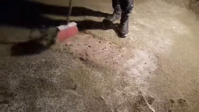 аномальное появления комаров