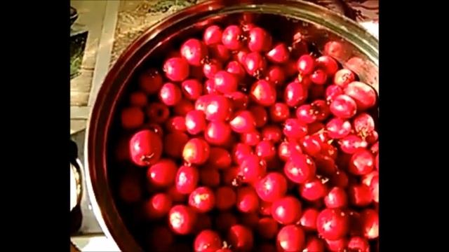 Психологический Коучинг и Развитие личности