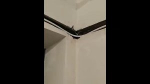 Подготовка штробы и укладка фреоновой трассы под кондиционер GREE