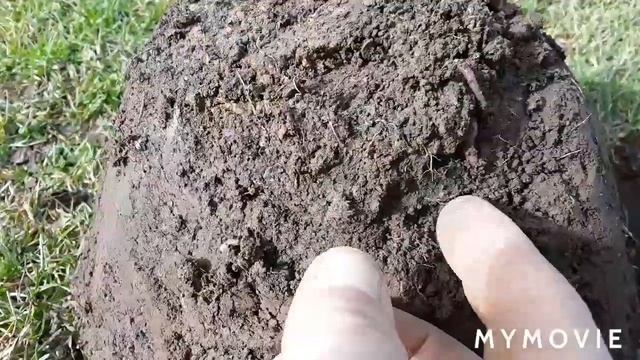 TREASURE VS TRASH #2 Minelab Vanquish 540. GOLD & SILVER found. Metal detecting Pittsburgh. смотреть онлайн