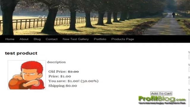 E-Commerce WP Wordpress Plugin смотреть онлайн
