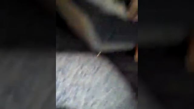 Как снимать без камеры смотреть онлайн