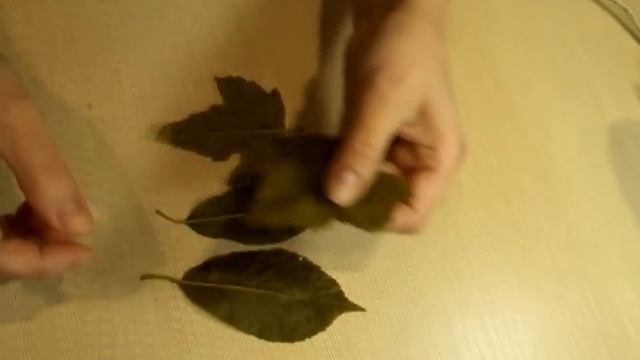 КАКИЕ МОЛДЫ МОЖНО ИСПОЛЬЗОВАТЬ ДЛЯ ФОАМИРАНА смотреть онлайн