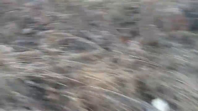 Как быстро научиться играть на гитаре смотреть онлайн