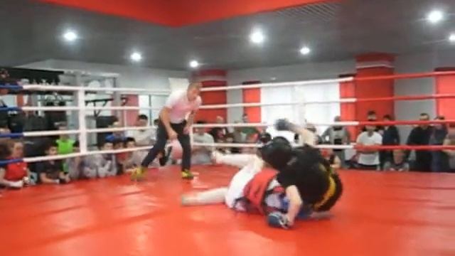 Бой № 8 1 раунд смотреть онлайн