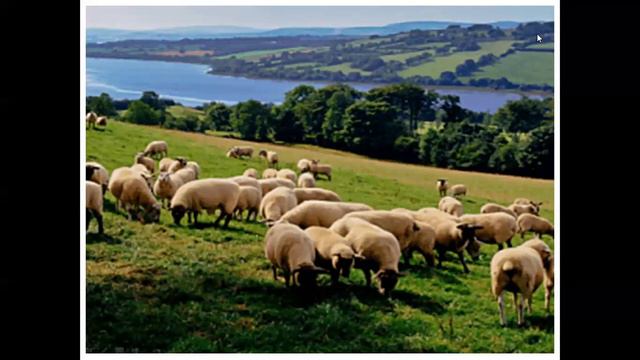 Уроки сиры. 5.Помощь дяде. смотреть онлайн