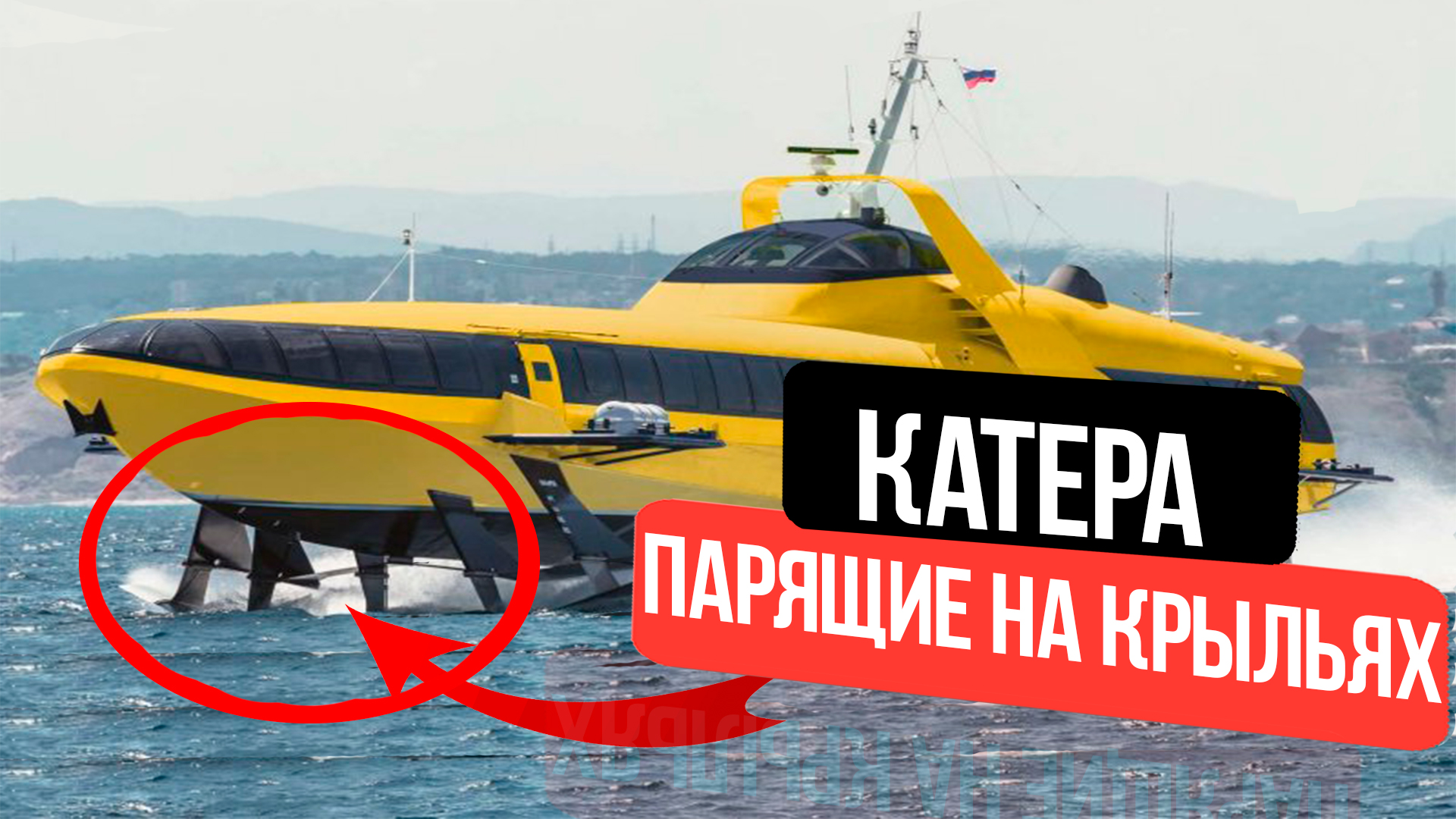 10 Российских катеров на подводных крыльях// Парящие катера смотреть онлайн