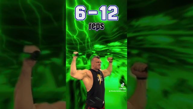 Biceps ? ЗАПОВЕДИ Тренировочного процесса от #hmgym #bodymechanica ?? смотреть онлайн