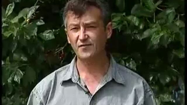 Удачный сезон вишня смотреть онлайн