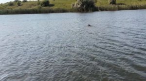 Ловля карпа в июне.  Карповая рыбалка на водоеме Старорязанский!