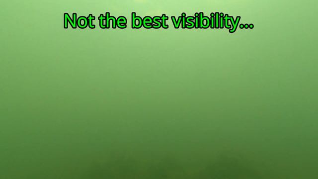 Mares Pioneer 7 mm wetsuit - Video 35 - In The Wild With Chris смотреть онлайн