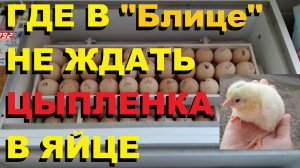 Инкубатор "Блиц". Важно ли место яйца в лотке и надставке?