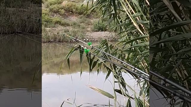 Быстрее бы лето пришло. смотреть онлайн
