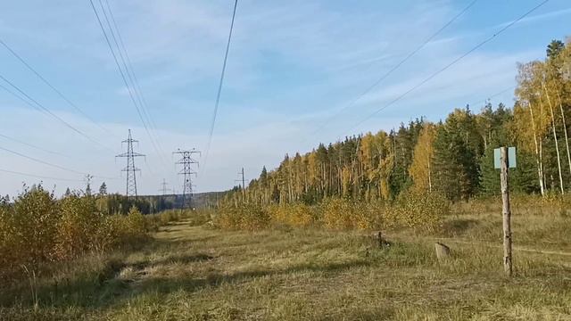 НУП, Углехим, руины дома.  Что таится в наших лесах.
