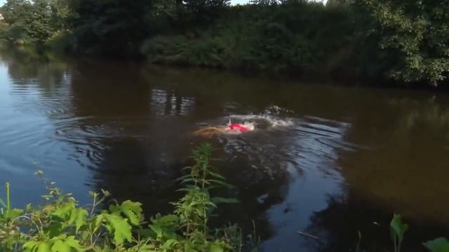 Река Пехорка по-прежнему пользуется популярностью у отдыхающих смотреть онлайн