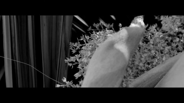 Sketches from Spain (II) смотреть онлайн