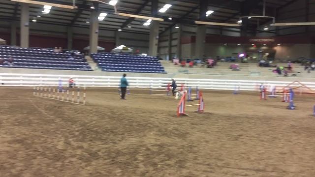 Java, Master JWW смотреть онлайн