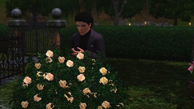 Редизайн Семьи Гот из Sims 3/Сансет Вэлли смотреть онлайн